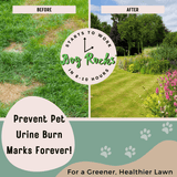 Dog Rocks 200g – Natural Lawn Burn Prevention for Pets, Dog Rocks,