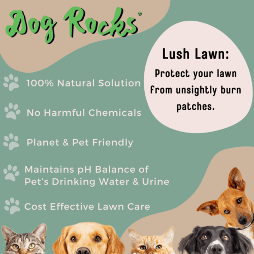 Dog Rocks 200g – Natural Lawn Burn Prevention for Pets, Dog Rocks,