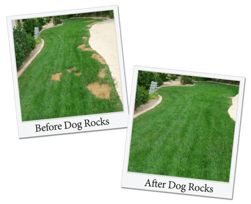 Dog Rocks 200g – Natural Lawn Burn Prevention for Pets, Dog Rocks,