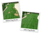 Dog Rocks 200g – Natural Lawn Burn Prevention for Pets, Dog Rocks,