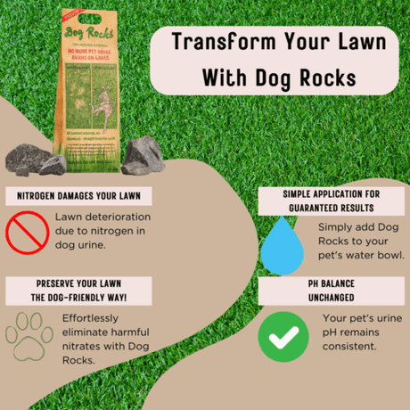 Dog Rocks 200g – Natural Lawn Burn Prevention for Pets, Dog Rocks,