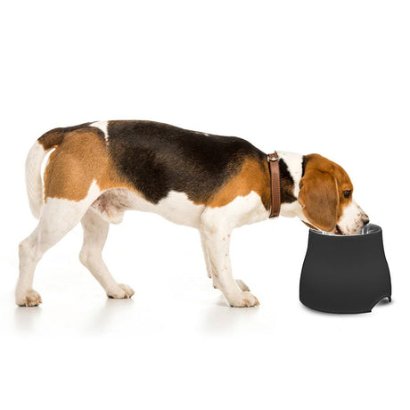 Dogit Elevated Dish Large, Dogit, Black