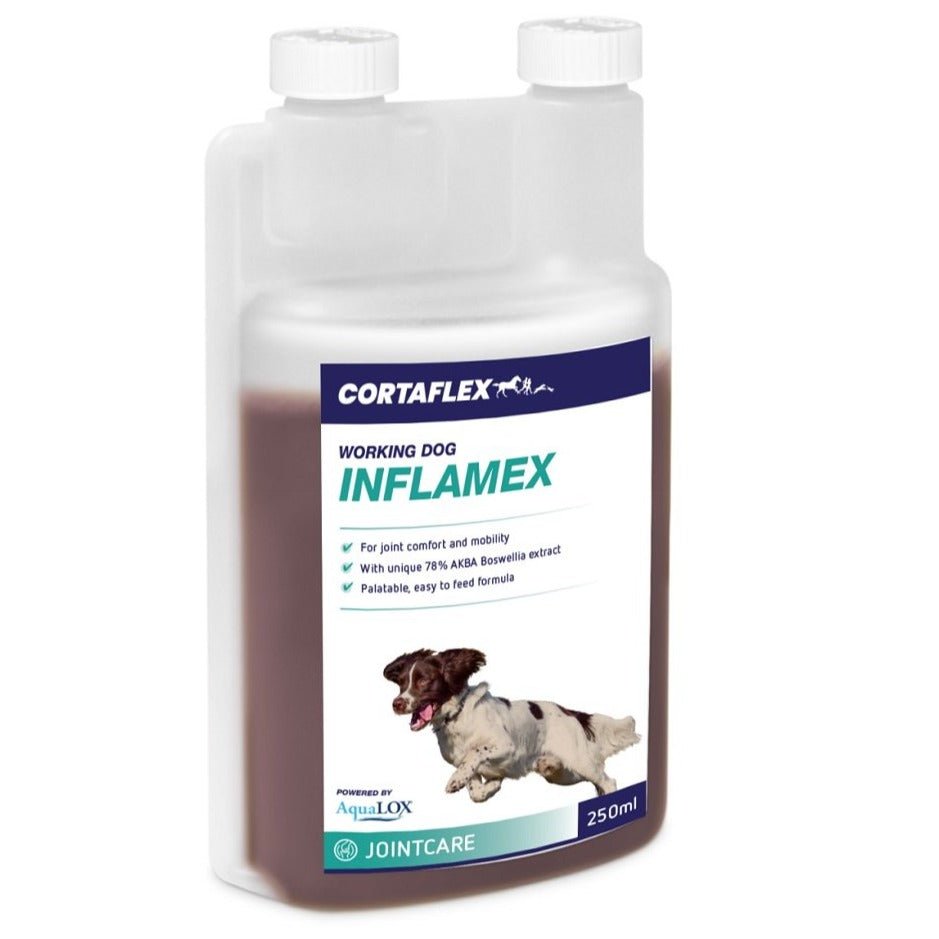 Equine America Cortaflex Canine Inflamex Solution 250 ml, Equine America,