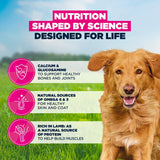 Eukanuba Adult Large Breed Lamb & Rice Dry Dog Food, Eukanuba, 12 kg