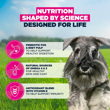 Eukanuba Adult Small Breed Fresh Chicken Dry Dog Food, Eukanuba, 3 x 3 kg