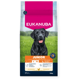 Eukanuba Junior Large Breed Fresh Chicken Dry Dog Food - 12 kg, Eukanuba,