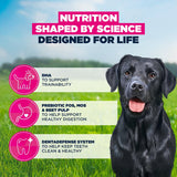 Eukanuba Junior Large Breed Fresh Chicken Dry Dog Food - 12 kg, Eukanuba,