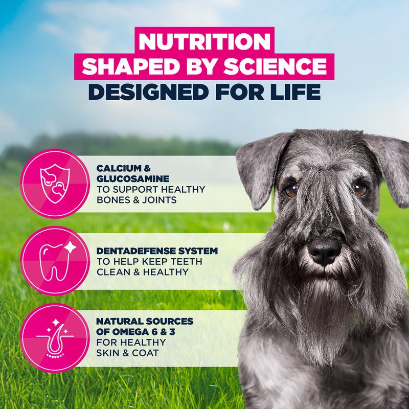 Eukanuba Mature Small Breed Fresh Chicken Dry Dog Food, Eukanuba, 3 x 3 kg