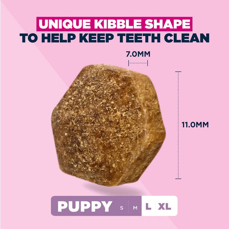 Eukanuba Puppy Large Breed Fresh Chicken Dry Dog Food, Eukanuba, 12 kg