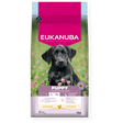 Eukanuba Puppy Large Breed Fresh Chicken Dry Dog Food, Eukanuba, 12 kg