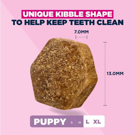 Eukanuba Puppy Large Breed Lamb & Rice Dry Dog Food, Eukanuba, 12 kg