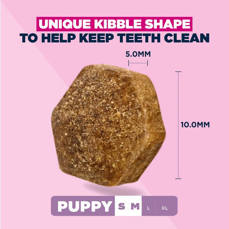 Eukanuba Puppy Small/Medium Breed Lamb & Rice Dry Dog Food, Eukanuba, 3 x 3 kg