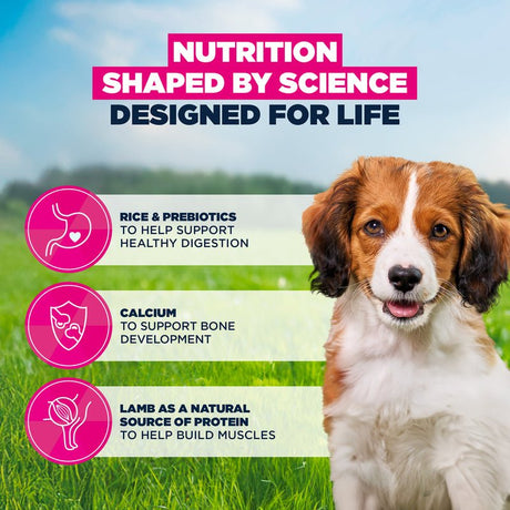 Eukanuba Puppy Small/Medium Breed Lamb & Rice Dry Dog Food, Eukanuba, 3 x 3 kg