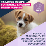 Eukanuba Puppy Small/Medium Breed Lamb & Rice Dry Dog Food, Eukanuba, 3 x 3 kg