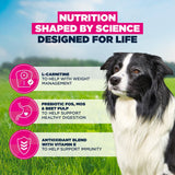 Eukanuba Senior Medium Breed Fresh Chicken Dry Dog Food, Eukanuba, 12 kg