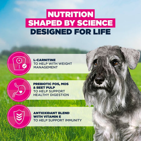 Eukanuba Senior Small Breed Fresh Chicken Dry Dog Food, Eukanuba, 3 x 3 kg