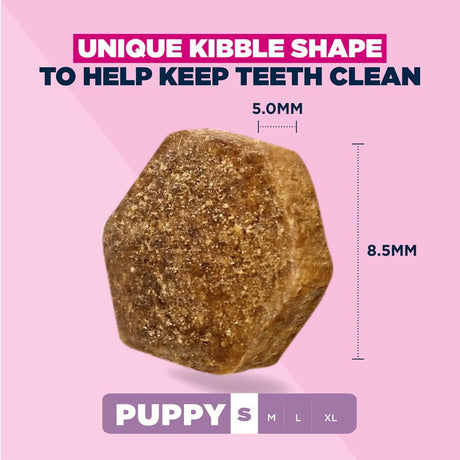 Eukanuba Small Breed Puppy Fresh Chicken Dry Dog Food, Eukanuba, 7.5 kg