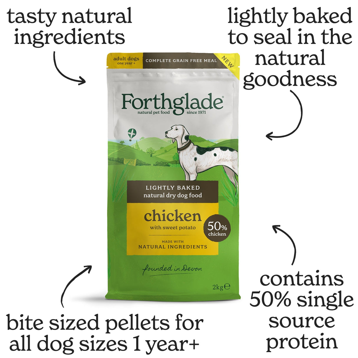 Forthglade Chicken Lightly Baked Natural Dry Adult Dog Food, Forthglade, 6 kg