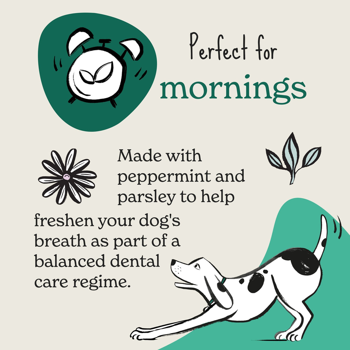 Forthglade Fresh Breath Peppermint & Parsley Dog Treats - 8 x 90g Packs, Forthglade,