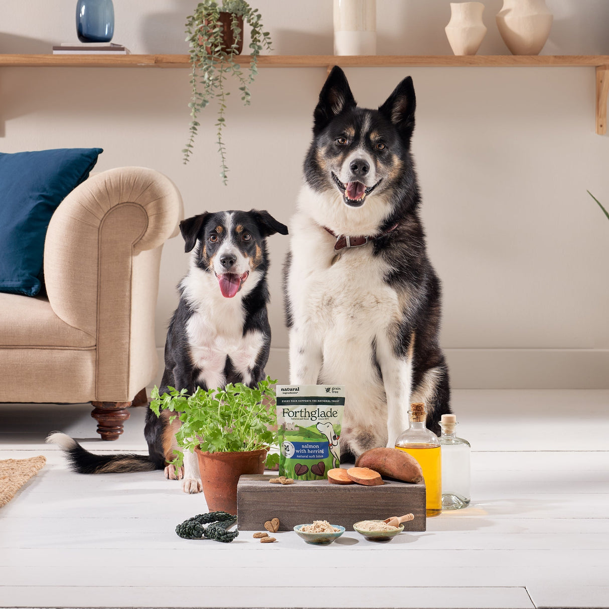 Forthglade National Trust Soft Bites Salmon & Herring Dog Treats - 8 x 90g, Forthglade,