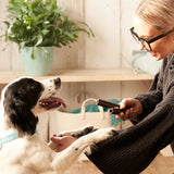 Forthglade Plant Based Dog Dental Sticks - 10 Bags (50 Sticks), Forthglade,