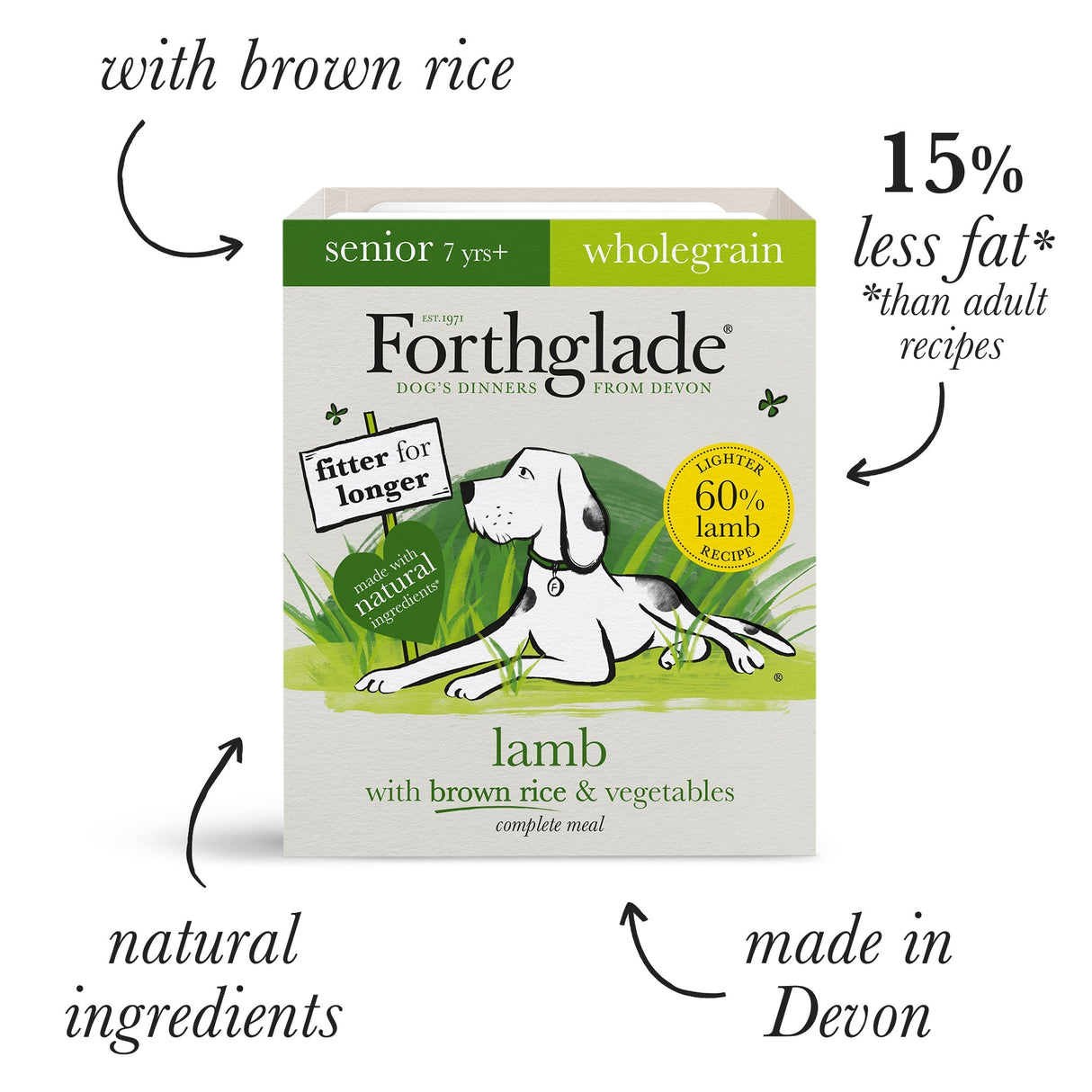 Forthglade Senior Complete Wholegrain Lamb with Brown Rice & Veg 18x395g, Forthglade,