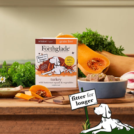 Forthglade Senior Dog Complete Grain Free Turkey with Butternut Squash & Veg 18x395g, Forthglade,