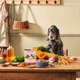 Forthglade Senior Dog Complete Grain Free Turkey with Butternut Squash & Veg 18x395g, Forthglade,