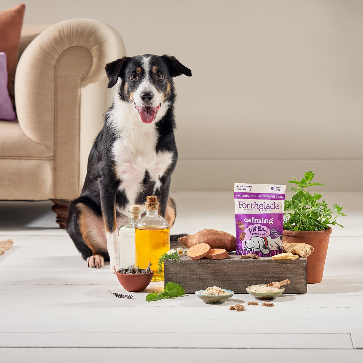 Forthglade Soft Bites Calming Dog Treats With Camomile & Lavender - 8 x 90g, Forthglade,