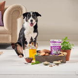 Forthglade Soft Bites Calming Dog Treats With Camomile & Lavender - 8 x 90g, Forthglade,