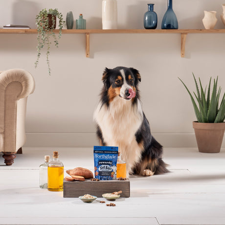 Forthglade Soft Bites Rewards Chicken & Liver Dog Training Treats - 8 x 90g, Forthglade,