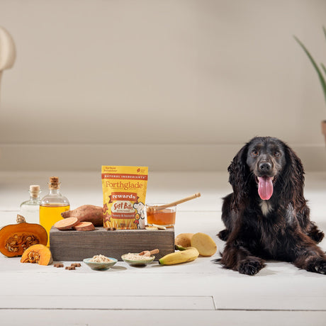 Forthglade Soft Bites Rewards Honey & Banana dog Training Treats - 8 x 90g, Forthglade,