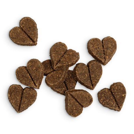 Forthglade Soft Bites Salmon Dog Treats - 8 x 90g, Forthglade,
