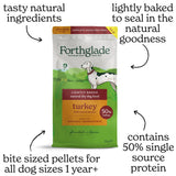 Forthglade Turkey Lightly Baked Natural Dry Adult Dog Food, Forthglade, 6 kg