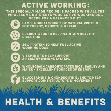 Harringtons Active Lamb & Rice Working Dog Dry Food - 15 kg, Harringtons,