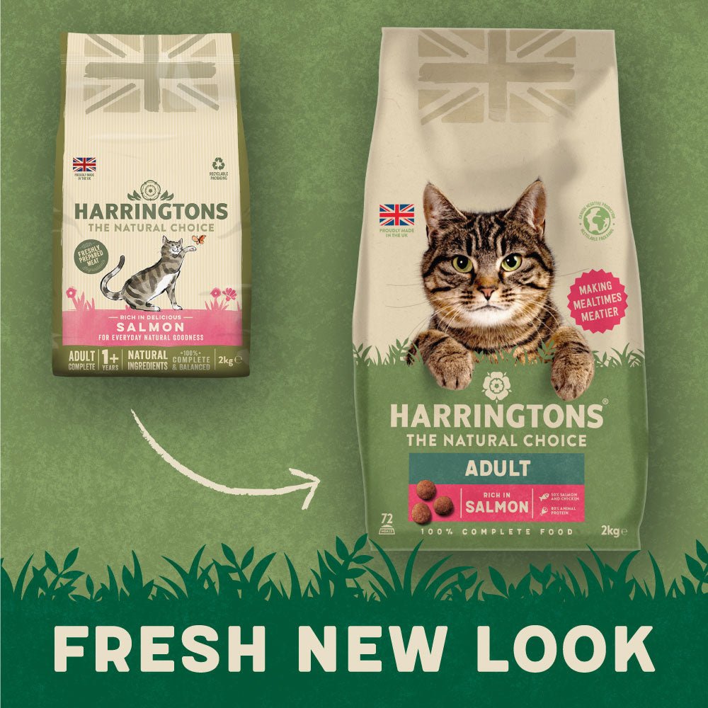 Harringtons Adult Cat Complete Salmon Dry Food - 4 x 2kg, Harringtons,