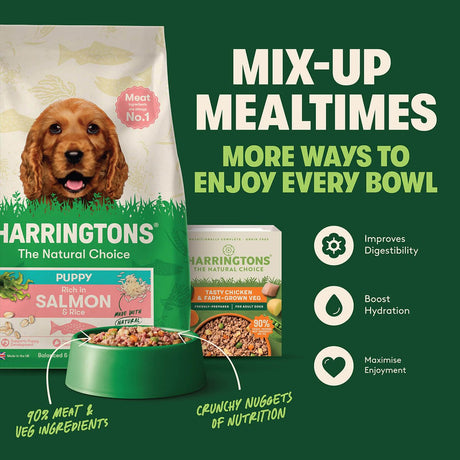 Harringtons Puppy Rich in Salmon & Rice Dry Food - 10kg, Harringtons,