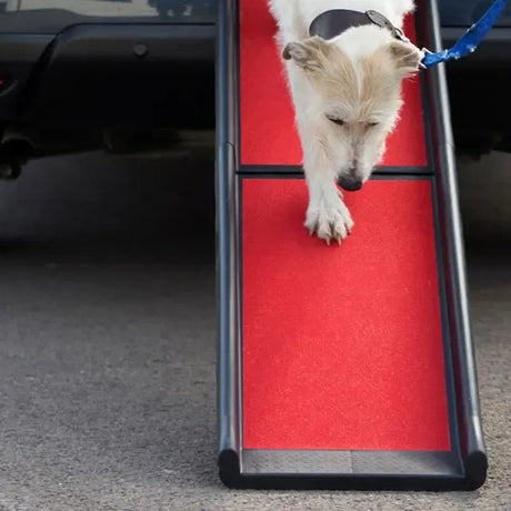 Henry Wag Lightweight Folding Car Dog Ramp, Henry Wag,