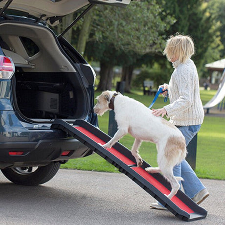 Henry Wag Lightweight Folding Car Dog Ramp, Henry Wag,