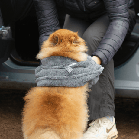 Henry Wag Microfibre Cleaning Glove Towel, Henry Wag,