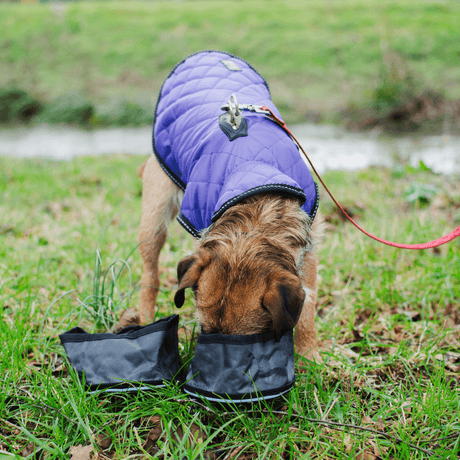 Henry Wag Snaffle Pack Portable Bowl Set, Henry Wag,