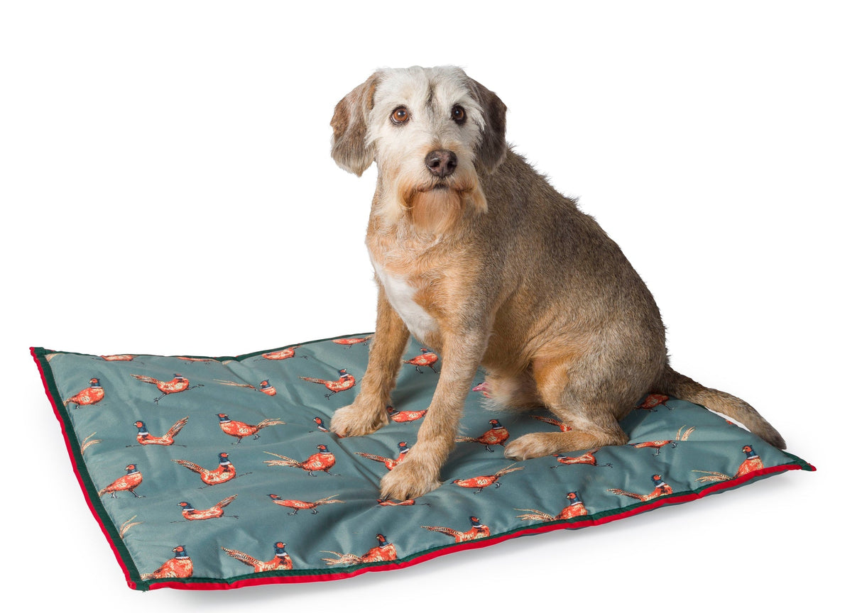 House of Paws Green Pheasant Water Resistant Boot Mat, House of Paws, Large/XL