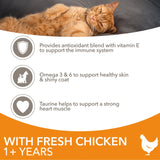 IAMS Adult Cat Dry Food with Fresh Chicken, IAMS, 10 kg