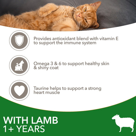 IAMS Adult Cat Dry Food with Lamb, IAMS, 2x2kg