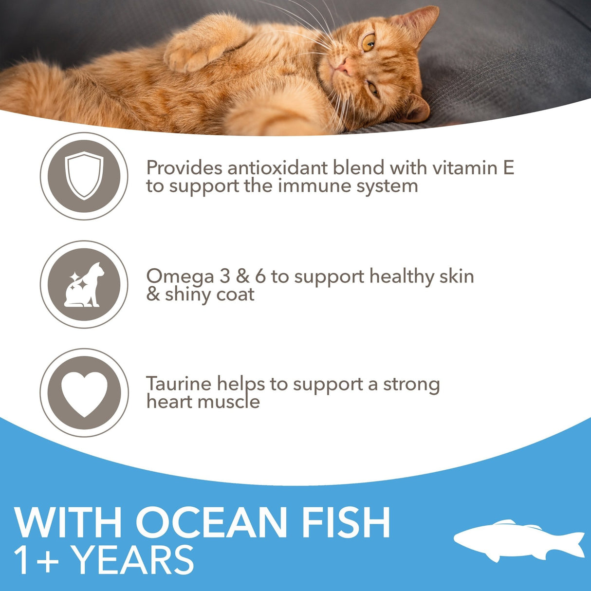 IAMS Adult Cat Dry Food with Ocean Fish - 2 x 2kg, IAMS,