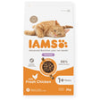 IAMS Adult Cat Hairball Dry Food with Fresh Chicken - 2 x 2kg, IAMS,