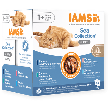 IAMS Adult Sea Collection in Jelly Wet Cat Food - 8 x 85g, IAMS,