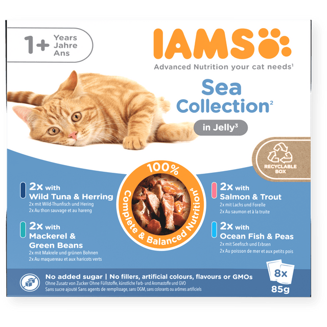 IAMS Adult Sea Collection in Jelly Wet Cat Food - 8 x 85g, IAMS,