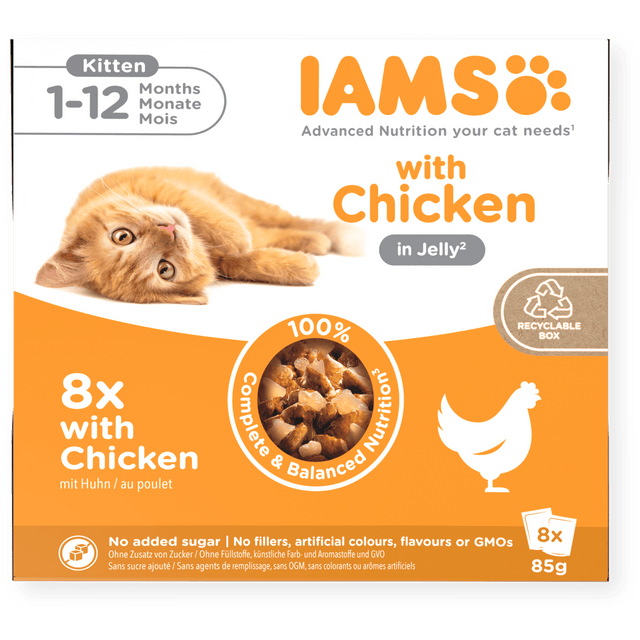 IAMS Kitten Chicken in Jelly Wet Cat Food - 8 x 85g, IAMS,