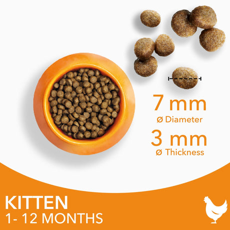 IAMS Kitten Dry Food with Fresh Chicken - 2 x 2kg, IAMS,